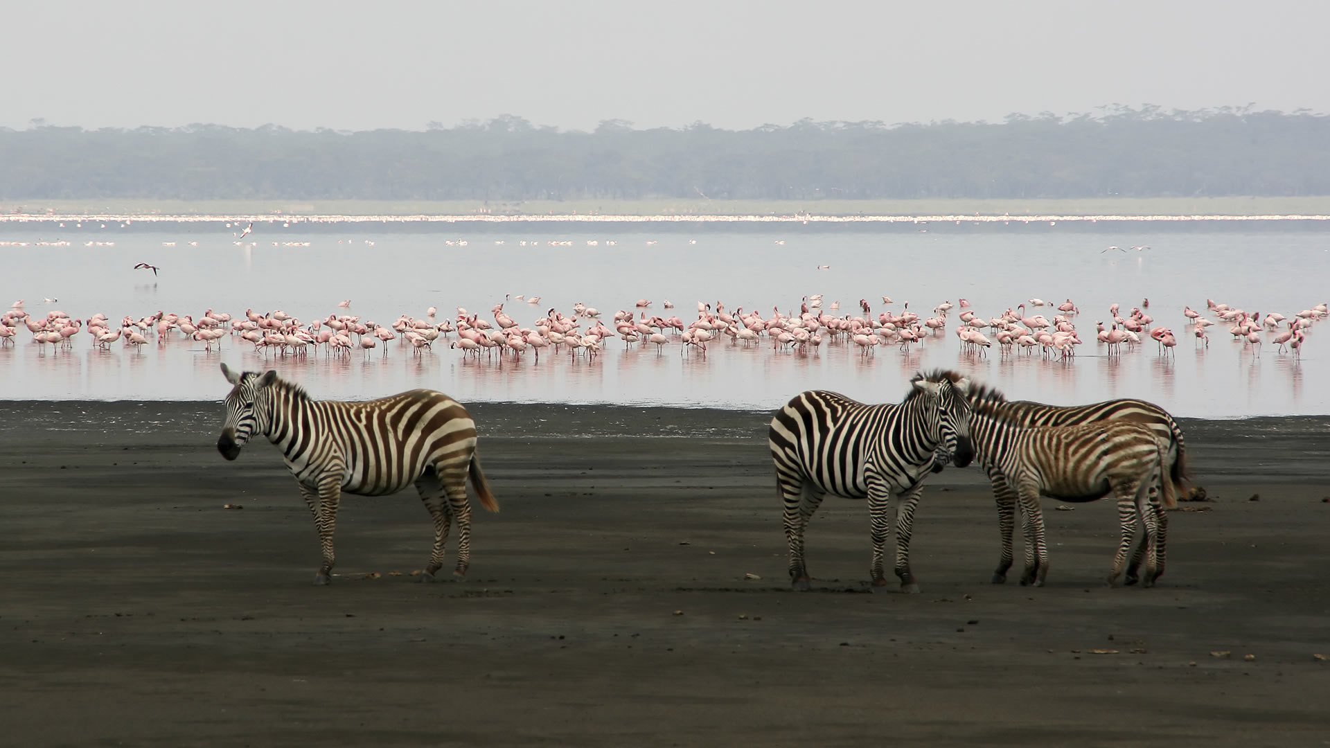 Lake Manyara National Park