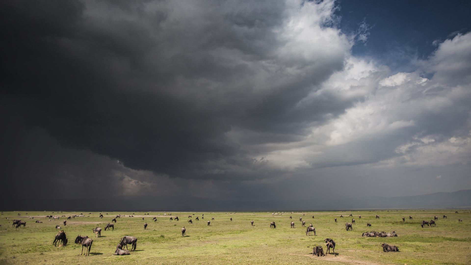 Ngorongoro Crater View