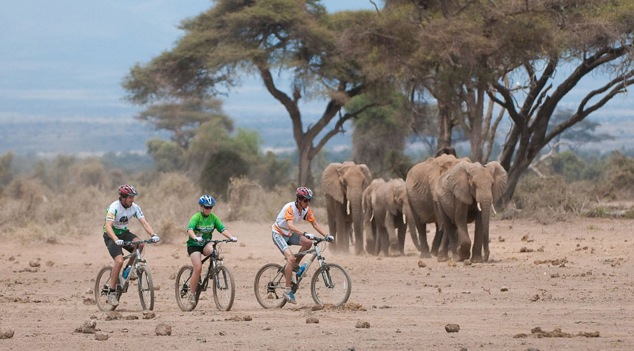 Custom Safari Tour